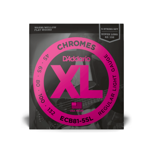 D`ADDARIO ECB81-5SL