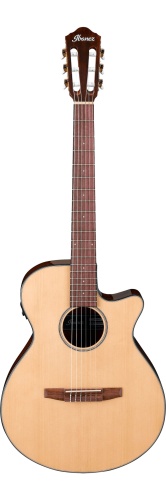 IBANEZ AEG50N-NT