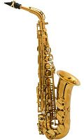 Selmer Reference 54 DGG