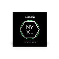 D`ADDARIO NYNW029